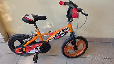 bici bambino Dino Bikes Raptor 14 pollici 