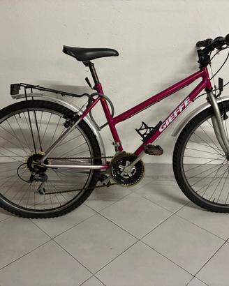 Mountain bike