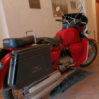 Guzzi Nuovo Falcone