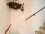 Immagine 12