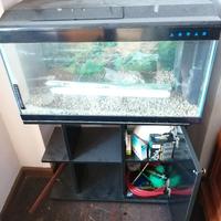 Acquario 130 litri