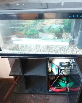Acquario 130 litri