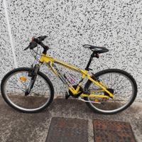 Mountain bike usata