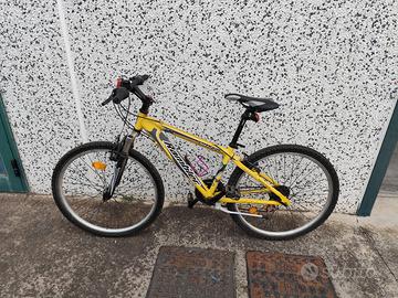 Mountain bike usata