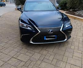 Lexus es (2018-->) - 2019