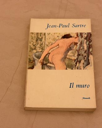 Il Muro