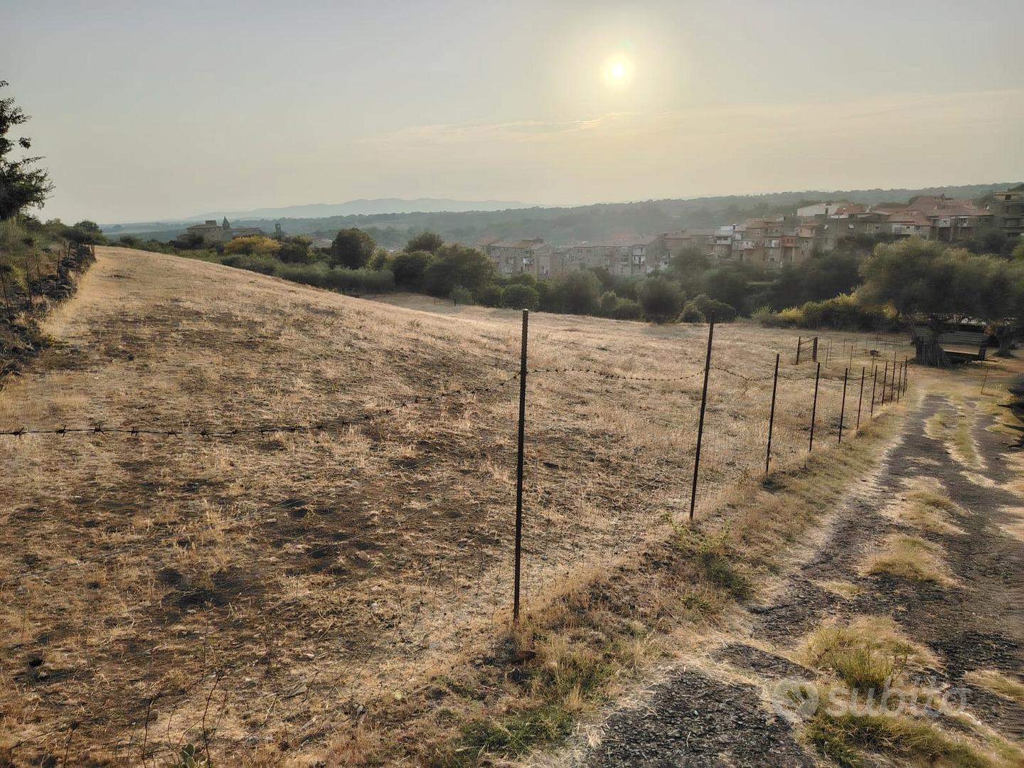 Terreno agricolo Cellere - Vista 4