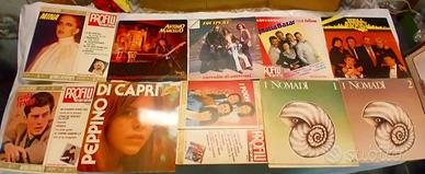 Lotto Vinili LP: Mina, I Pooh, Nomadi e altri
