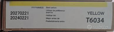 Cartuccia originle epson t6034 scad.2027