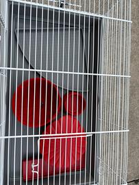 Gabbia per criceto