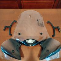 Parabrezza scooter