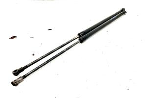 PISTONCINI COFANO POST. NISSAN Qashqai Serie 90450