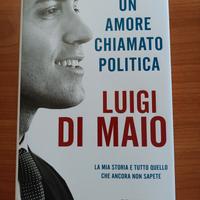 Libro Luigi di Maio Nuovo "Un amore chiamato po