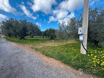 Terreno C/DA Piano di Tresca