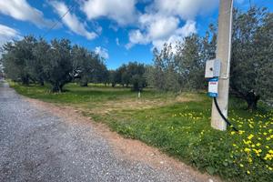 Terreno C/DA Piano di Tresca