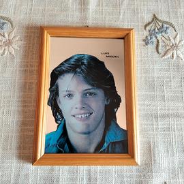 Quadretto specchio Luis Miguel '85