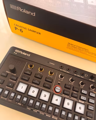 Roland Aira Compact P6 - Campionatore Granulare