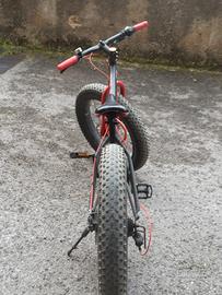 bicicletta