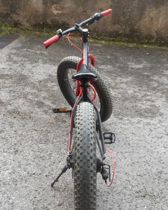 bicicletta
