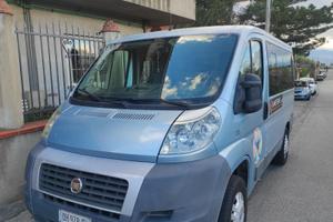 fiat ducato panorama 9 posti