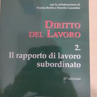 diritto del lavoro 2. il rapporto di lavoro subord