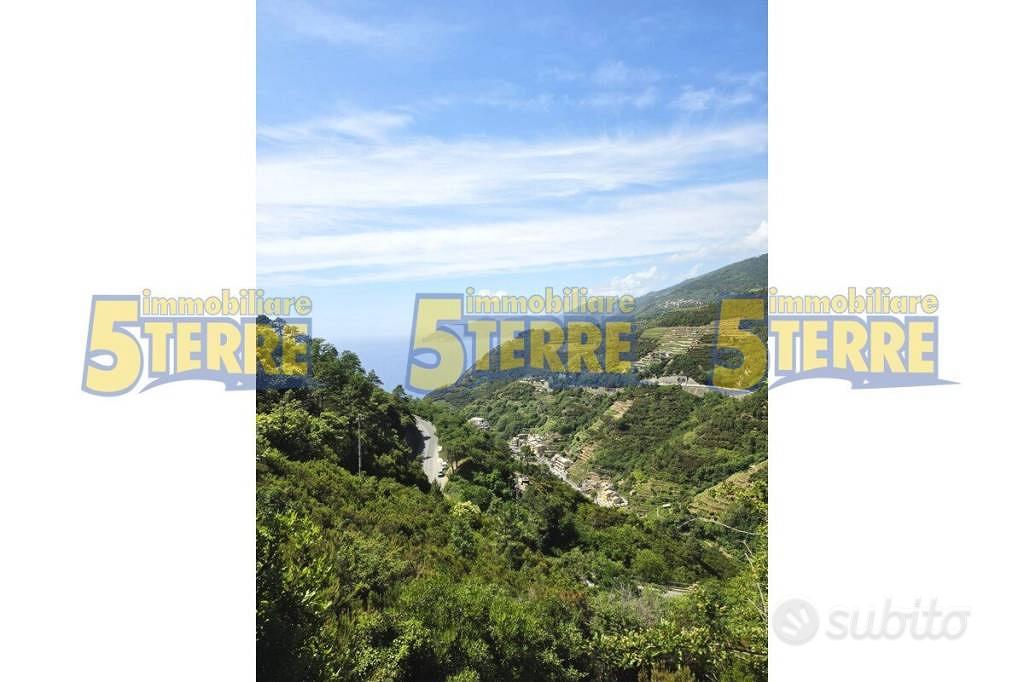 Rustico / Casale di 60 m² con 2 locali a Riomaggio - Vista 4