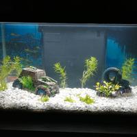 Acquario Ciano AQUA led 60