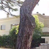 Villetta bifamiliare a Riccione (RN)