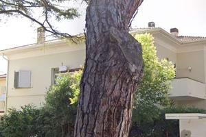 Villetta bifamiliare a Riccione (RN)