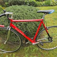 bici da corsa colnago 