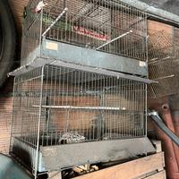 Gabbia per uccelli