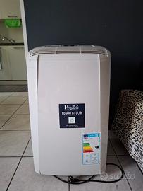 condizionatore portatile 