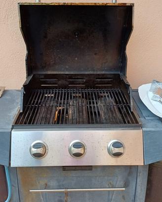 BBQ a gas Central Park