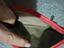 Immagine 4