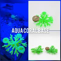 basette per coralli zoanthus stratosphere palytoa 