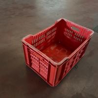 Casse in plastica