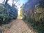 Immagine 13