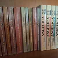 Collezione completa libri Angelica