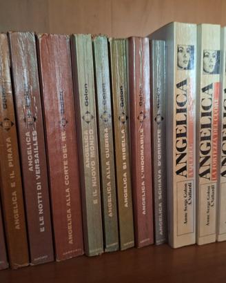 Collezione completa libri Angelica