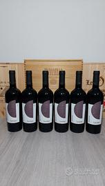 Negroamaro Cantalupi Conti zecca IGP 2021 - 6 Btg