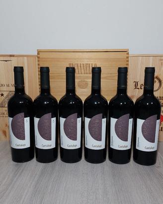 Negroamaro Cantalupi Conti zecca IGP 2021 - 6 Btg
