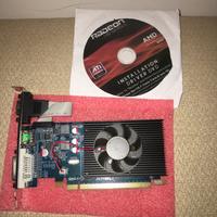 Computer scheda video