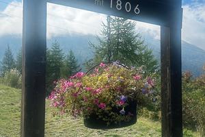 Appartamento montagna