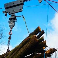 Teleferica Forestale per esbosco