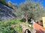 Immagine 10