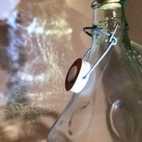 Fiaschi/damigiane 5L nuovi + tappi