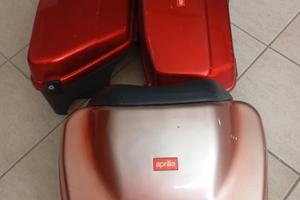 Borse Baule  Scarabeo 150