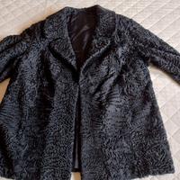 pelliccia breitschwanz