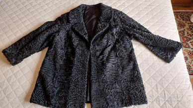 pelliccia breitschwanz