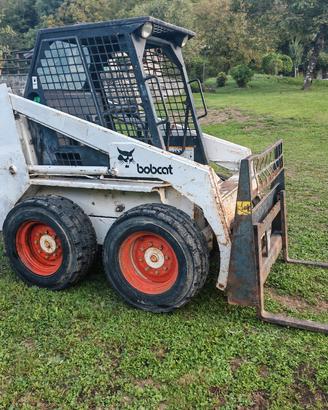  minipala bobcat 743